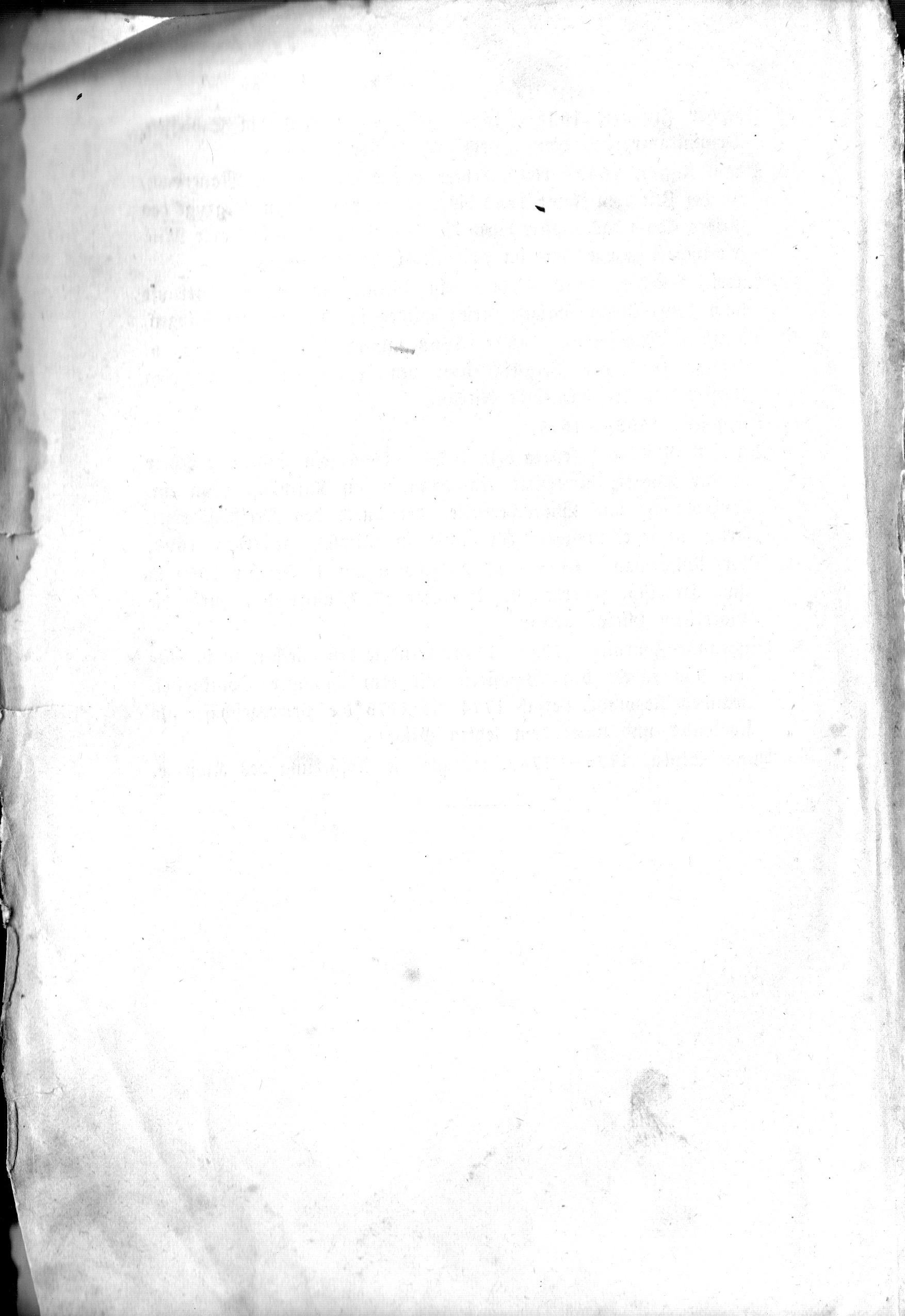 346.jpg