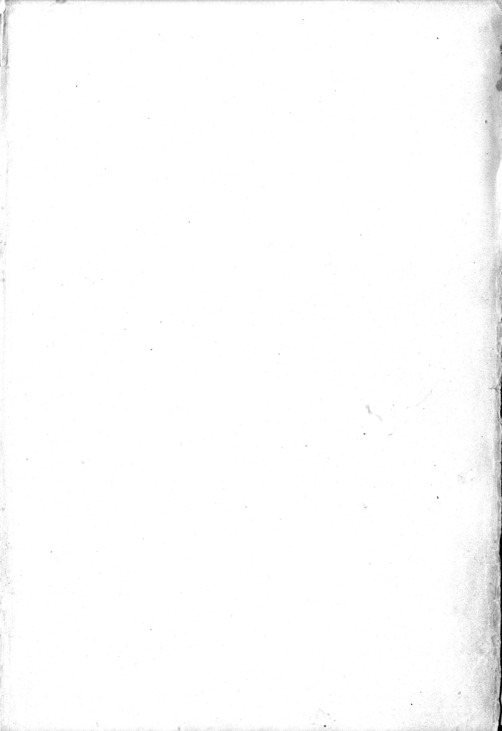 d6.jpg