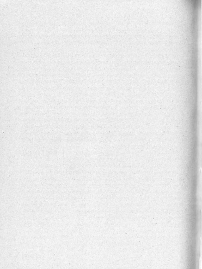 262.jpg