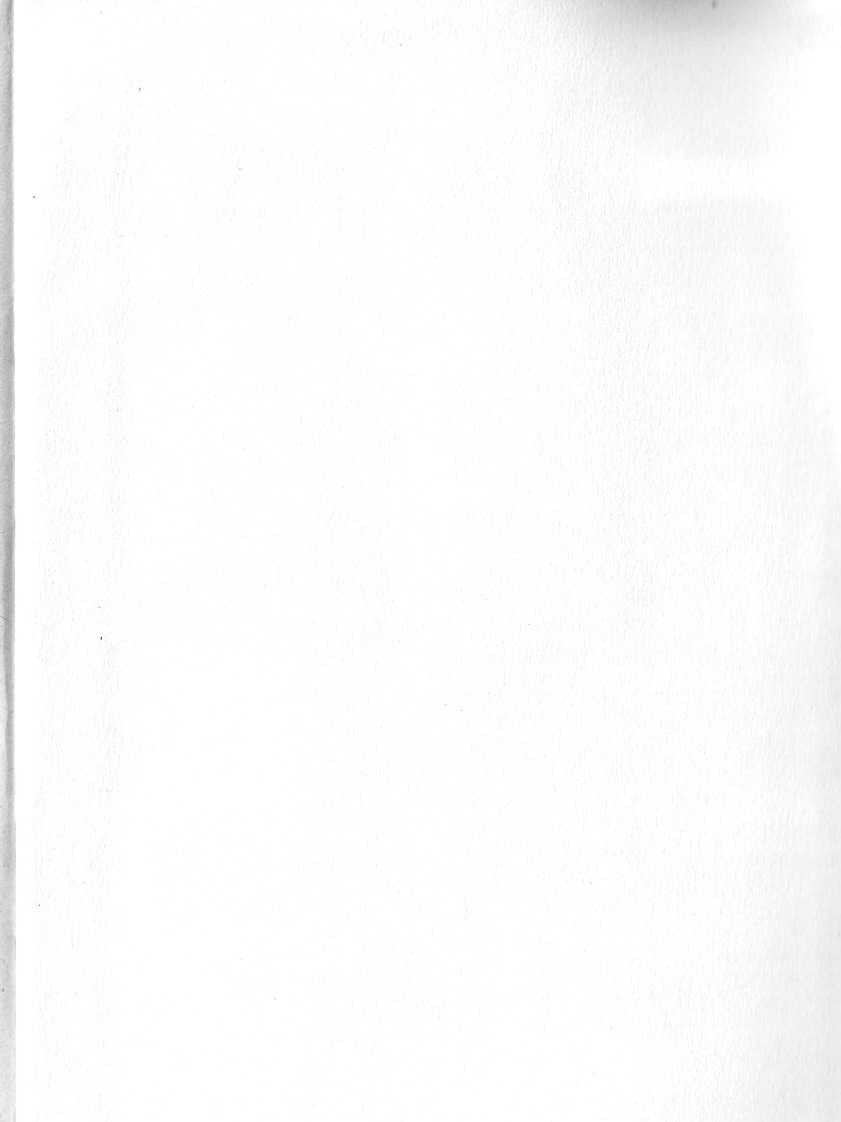276.jpg