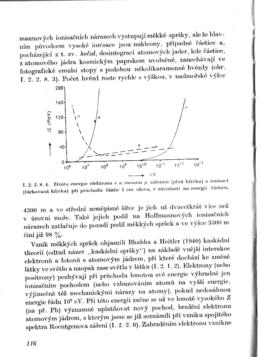 a116.jpg