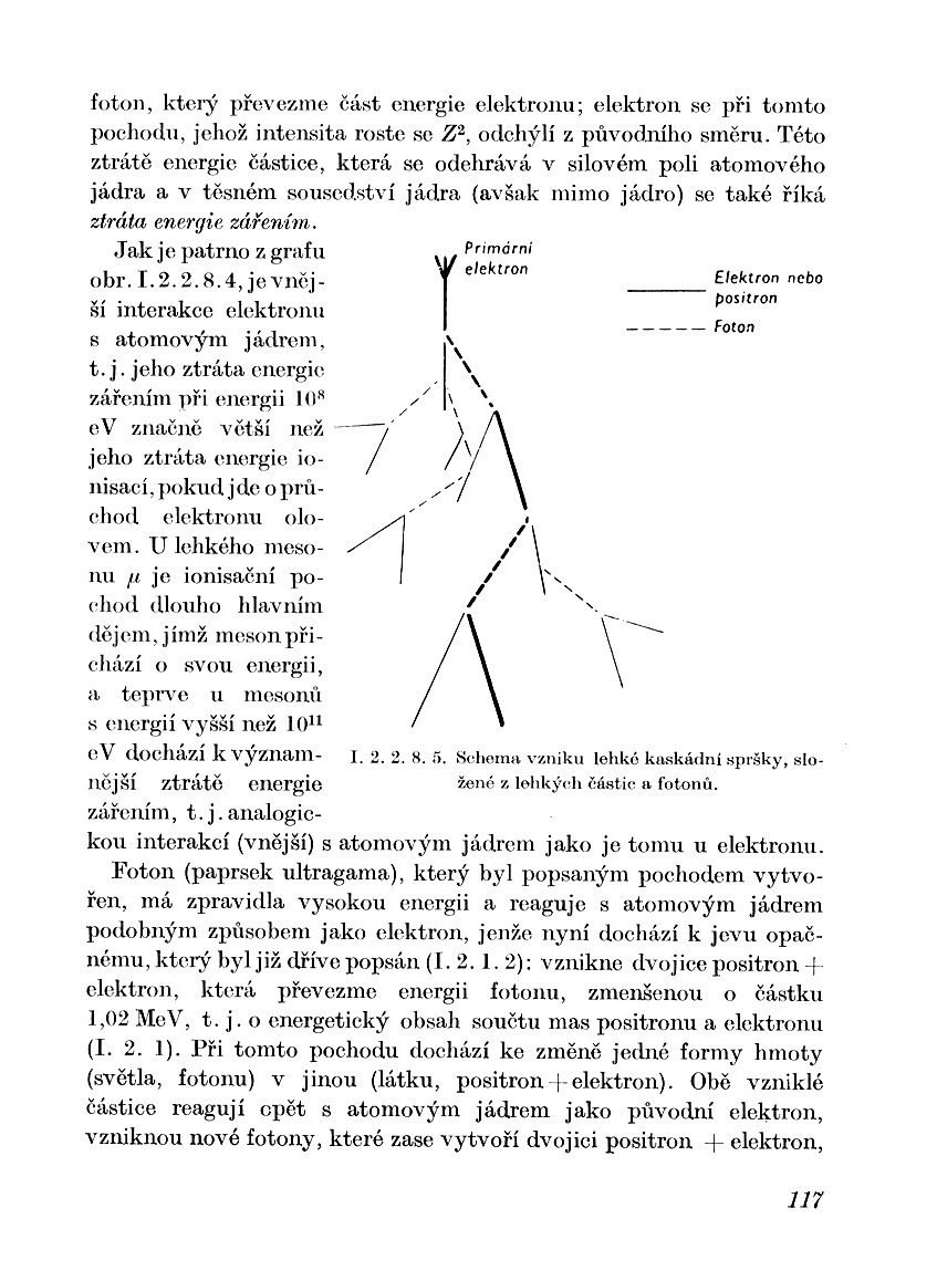 a116.jpg