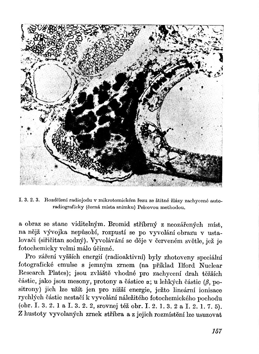 a156.jpg