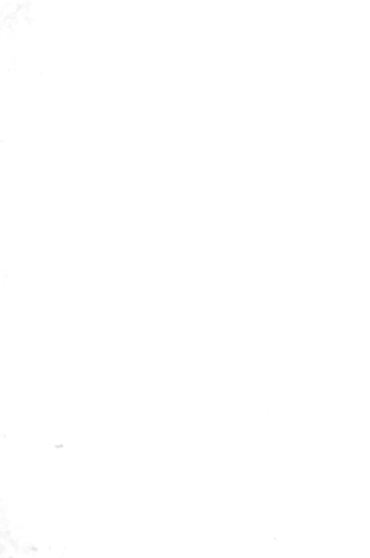 106.png