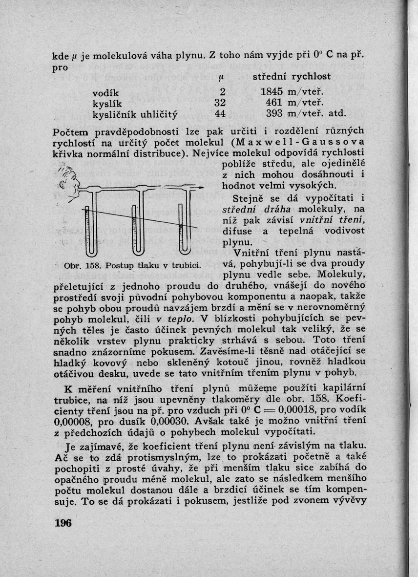 196.jpg