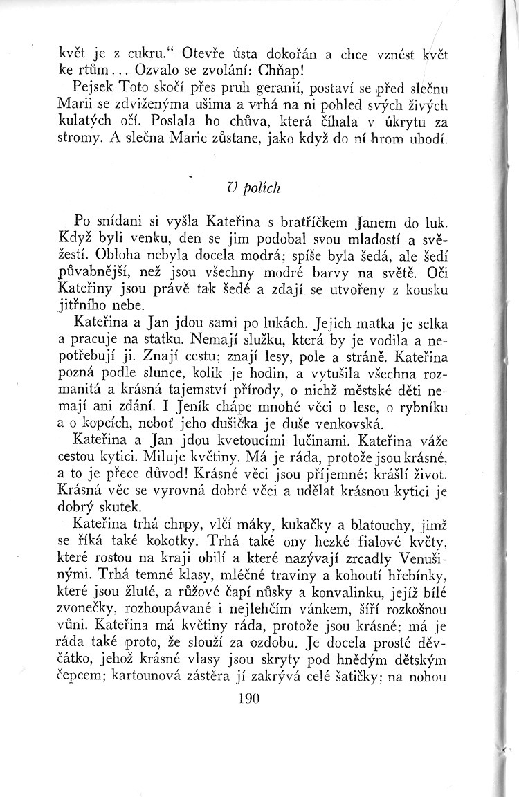 190.jpg