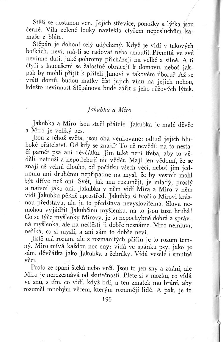 196.jpg