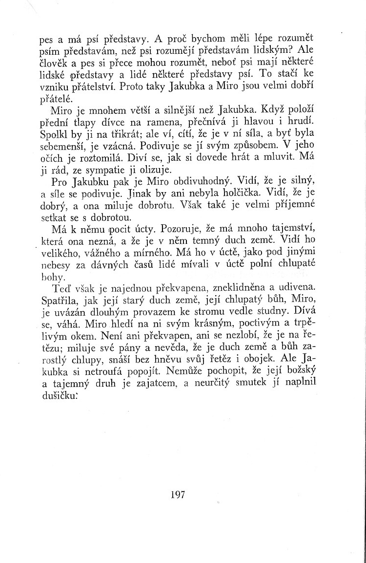 196.jpg
