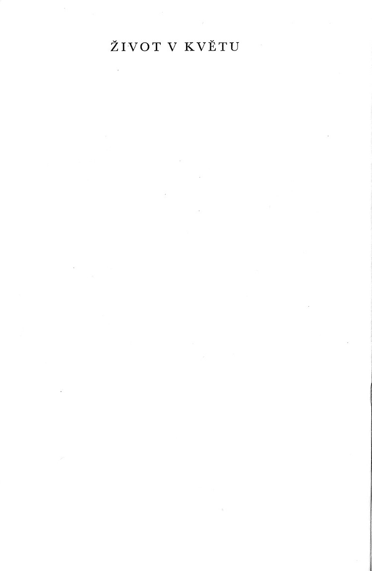 484.jpg