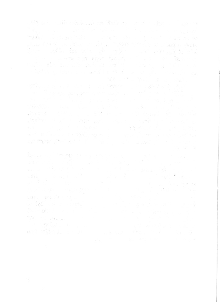 010.jpg