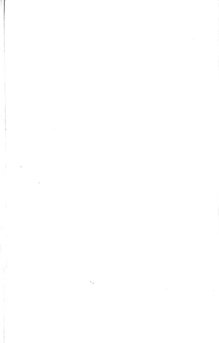 008.jpg