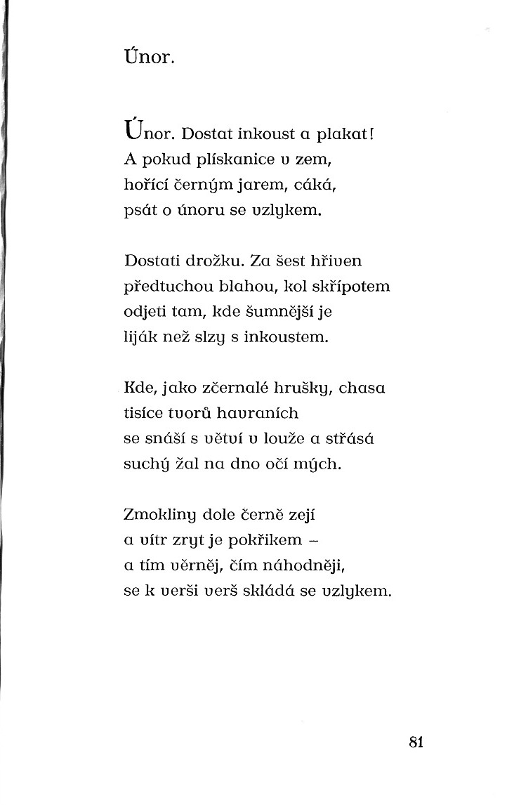 080.jpg