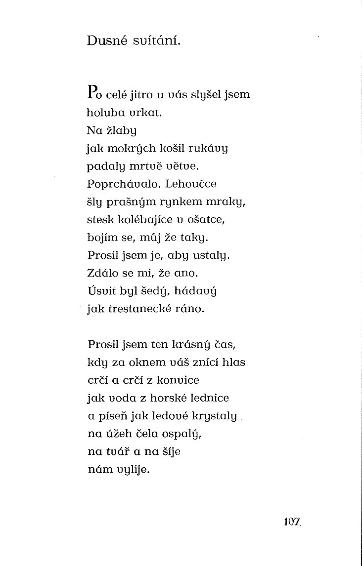106.jpg