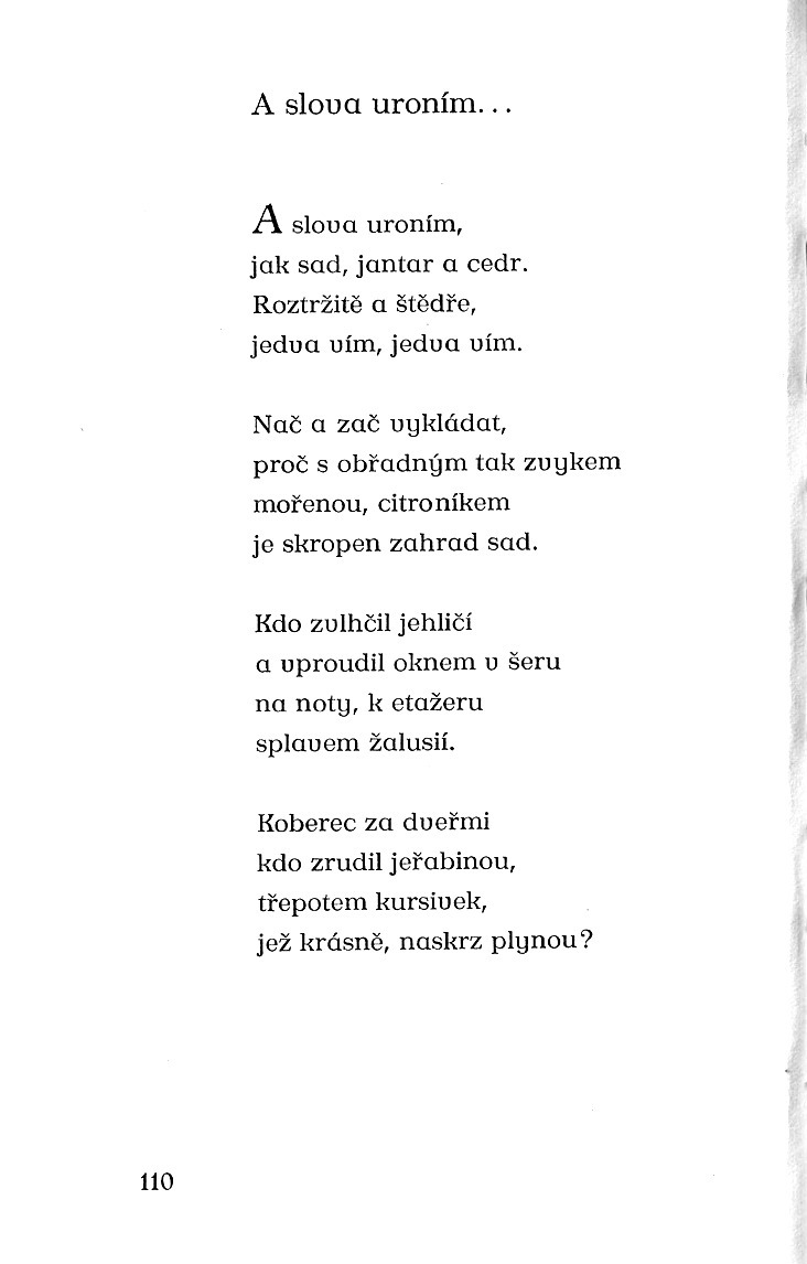 110.jpg
