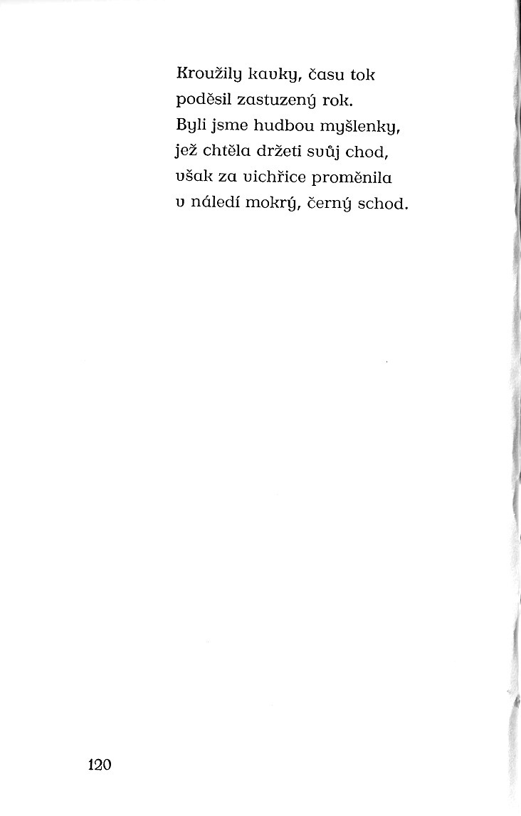 120.jpg