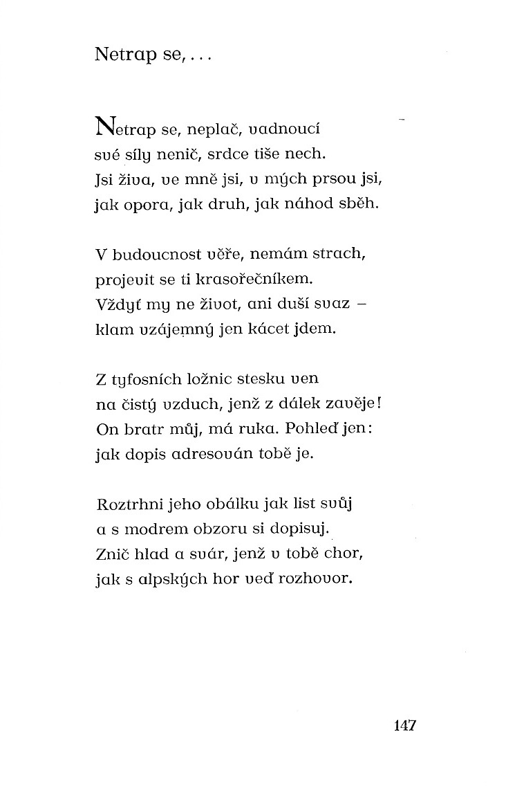 146.jpg