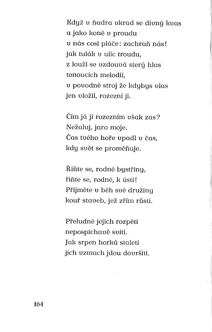 164.jpg