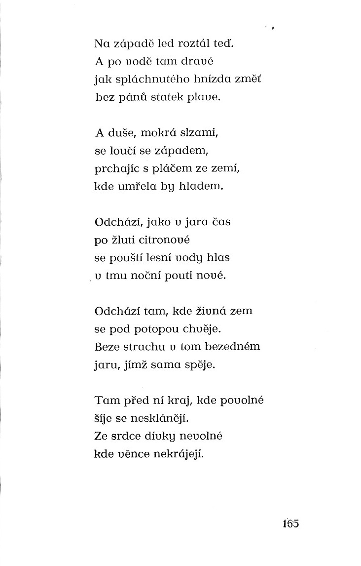 164.jpg