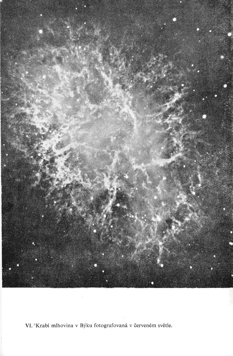 190.jpg