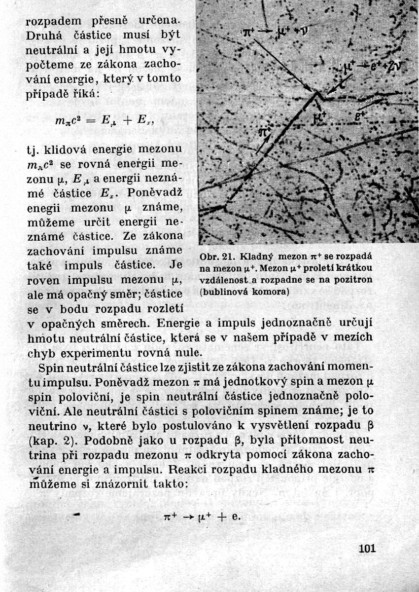 100.jpg