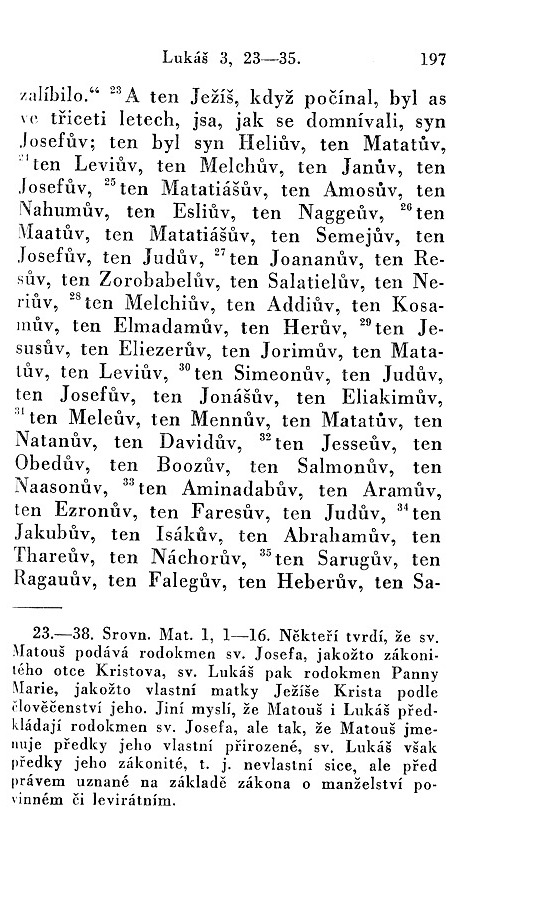 196.jpg