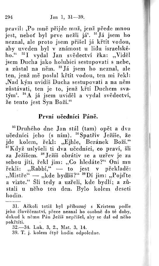 294.jpg