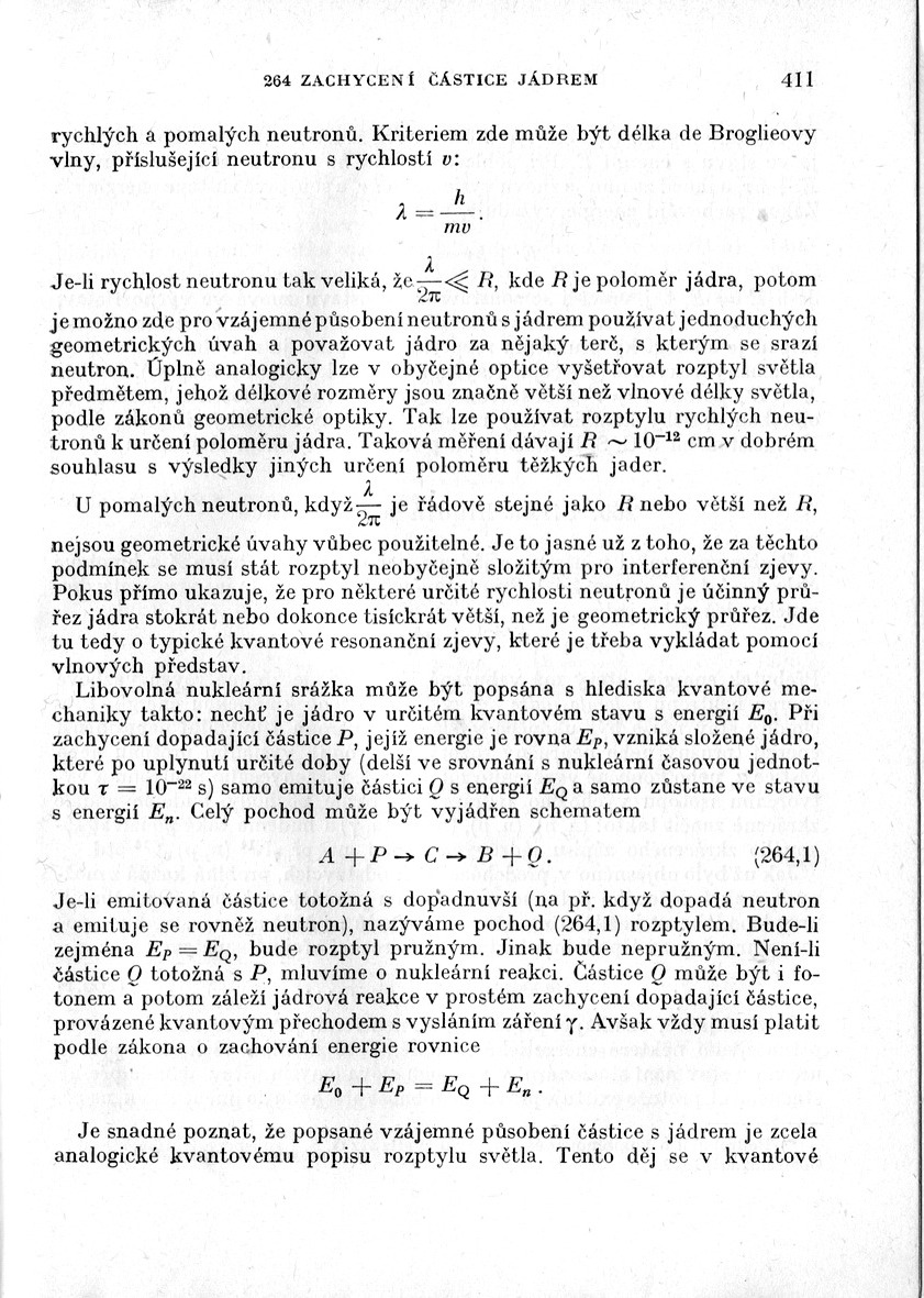 410.jpg