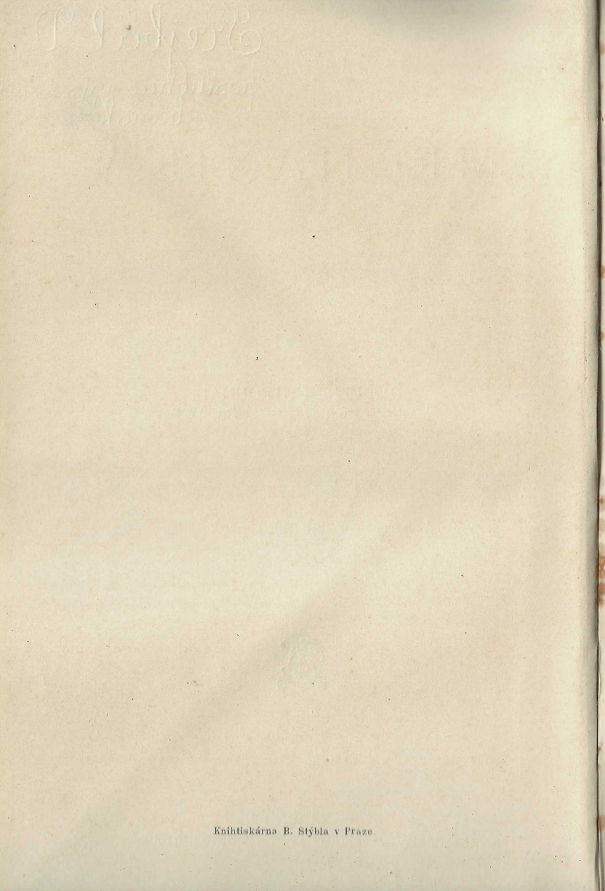 t04.jpg