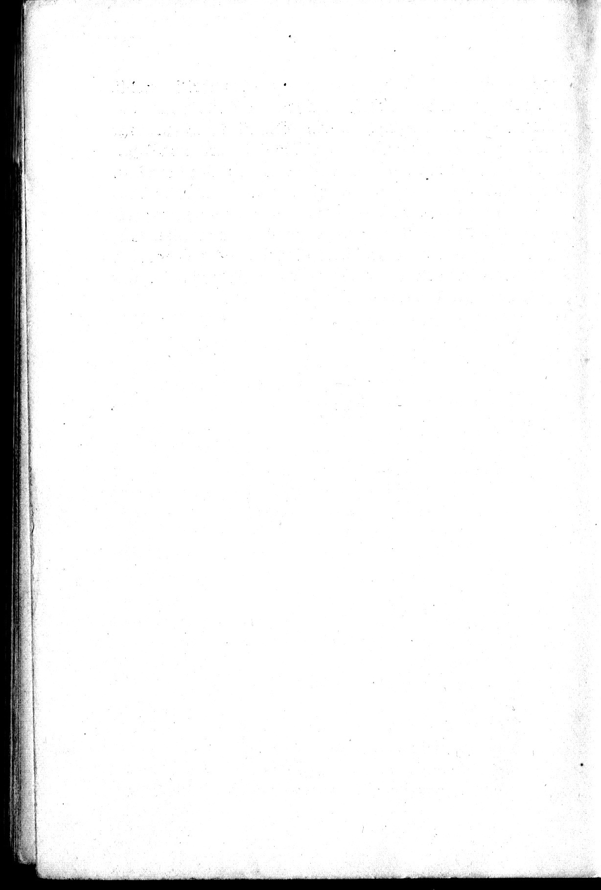282.jpg
