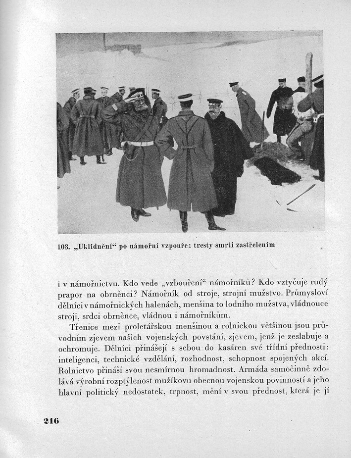 216.jpg