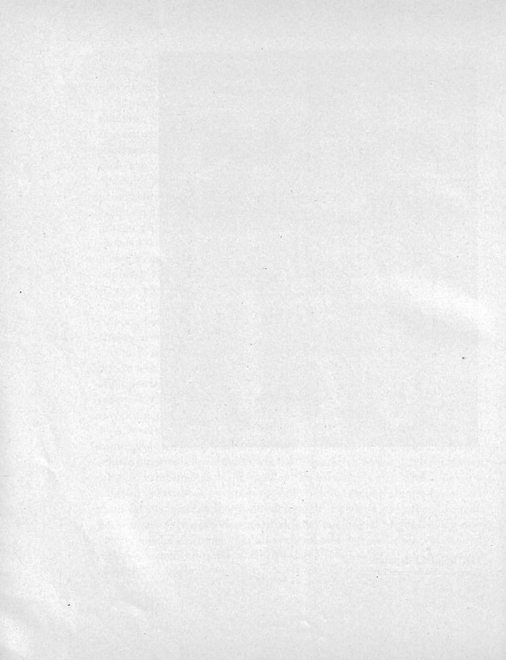 242.jpg