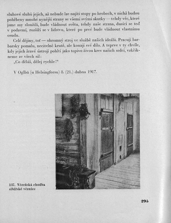 295.jpg