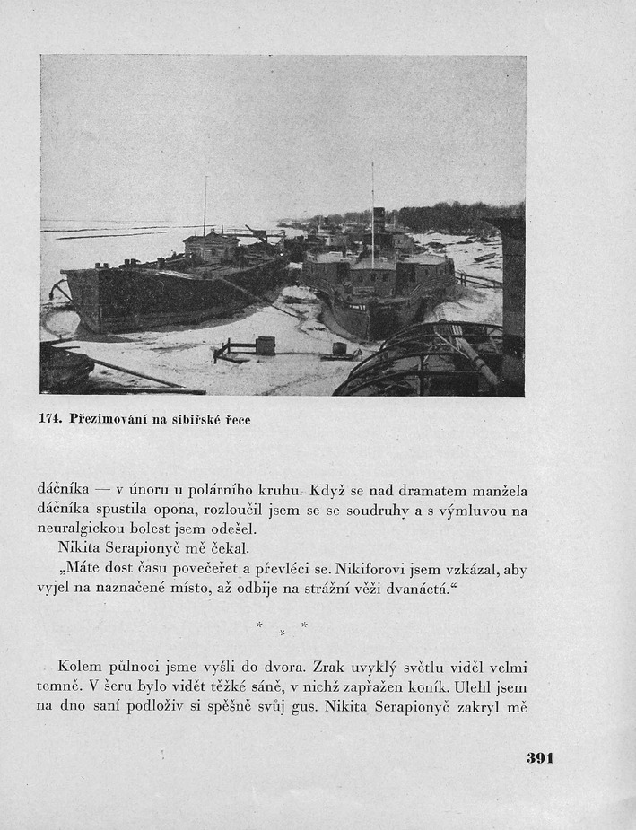 391.jpg