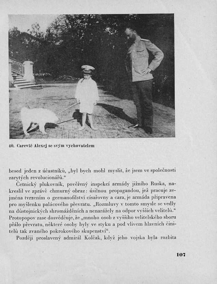107.jpg