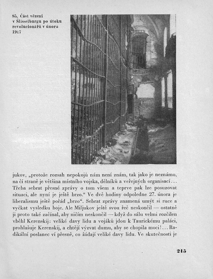 215.jpg