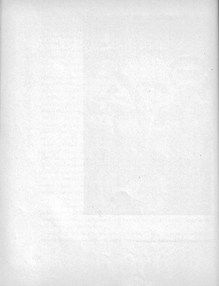 274.jpg