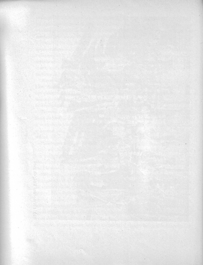 306.jpg