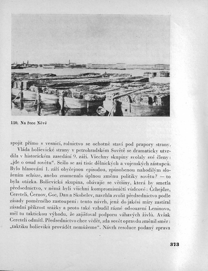 373.jpg