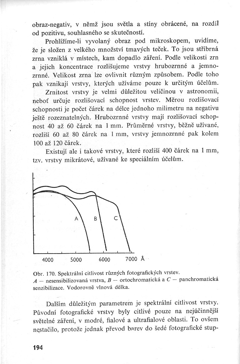194.jpg