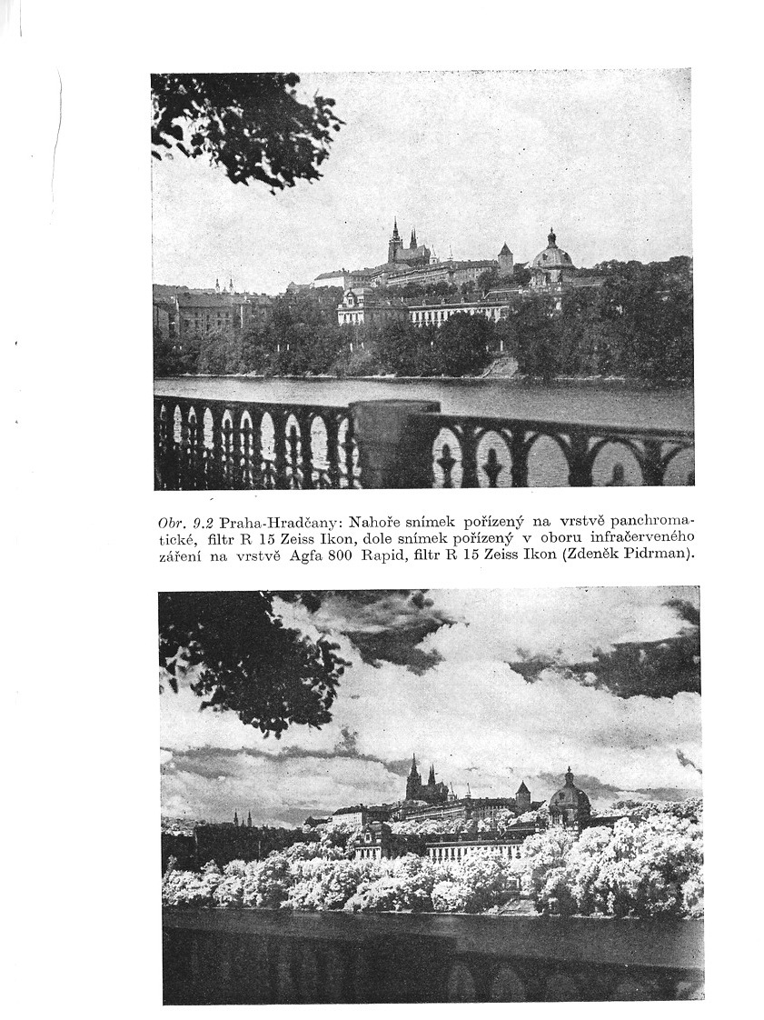 o006.jpg
