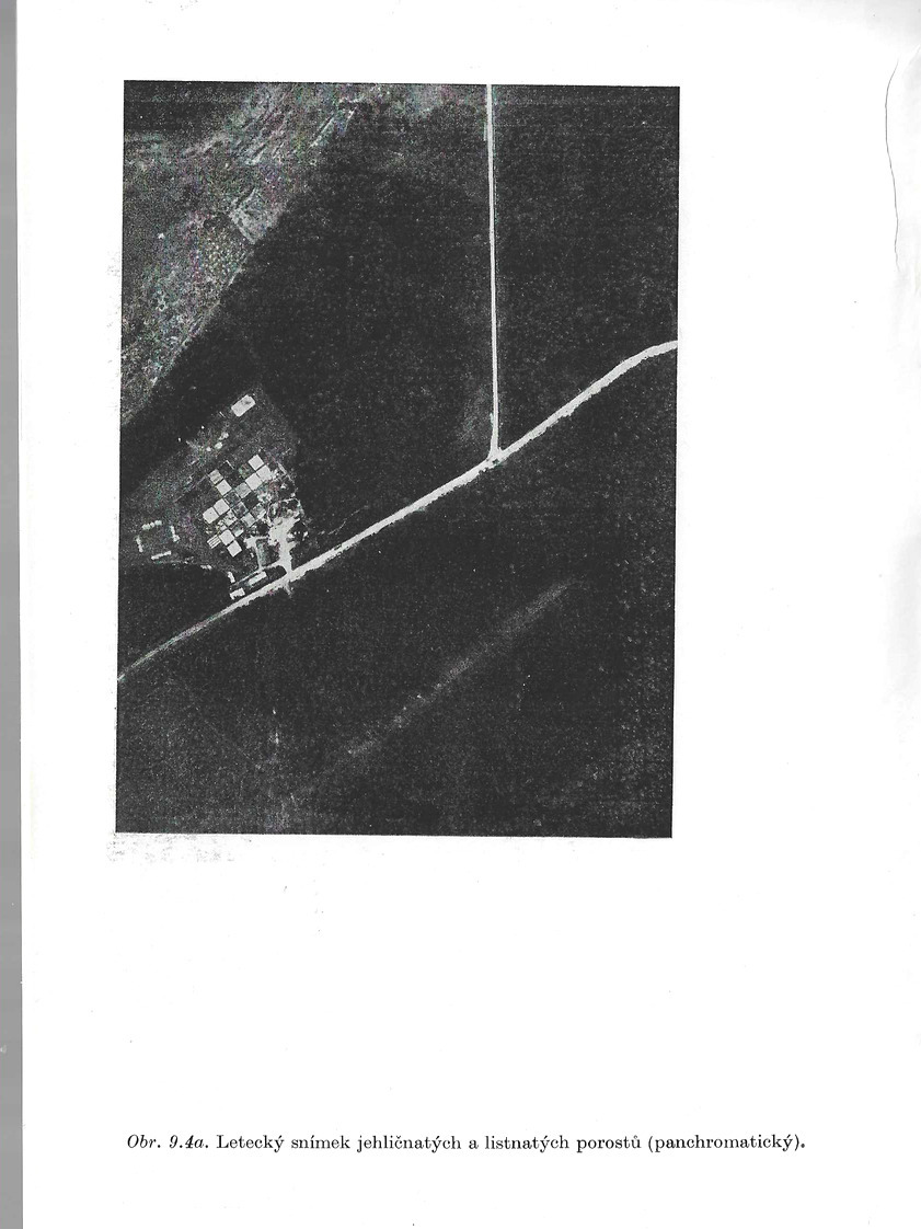 o008.jpg