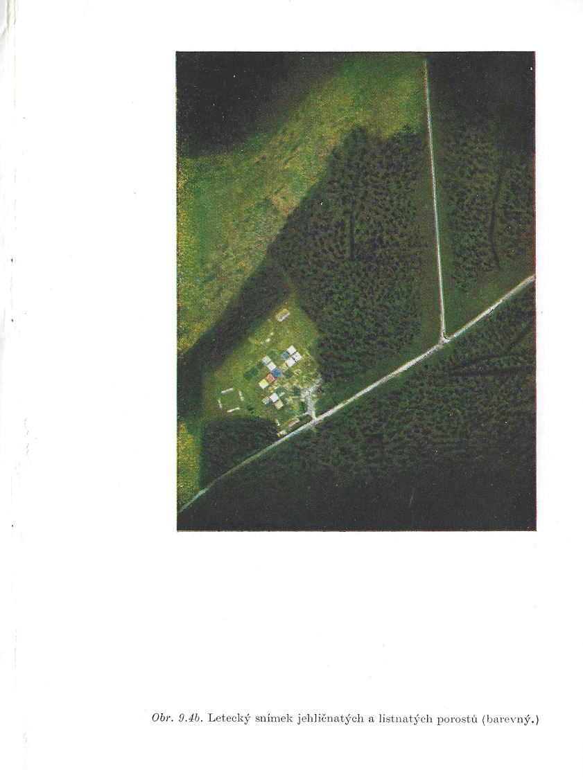 o008.jpg