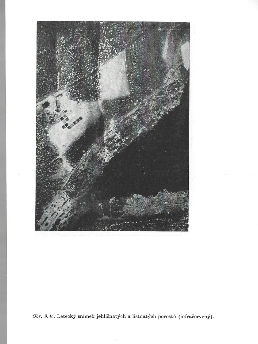 o010.jpg