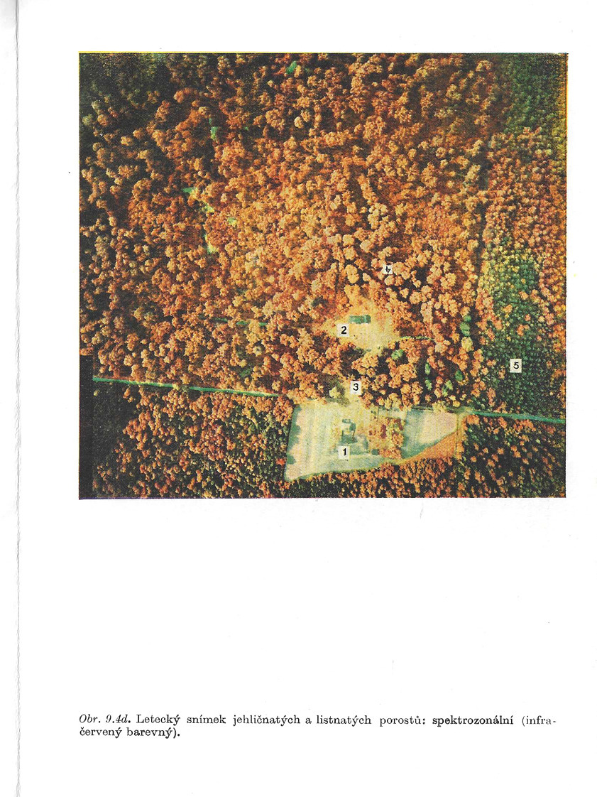 o010.jpg