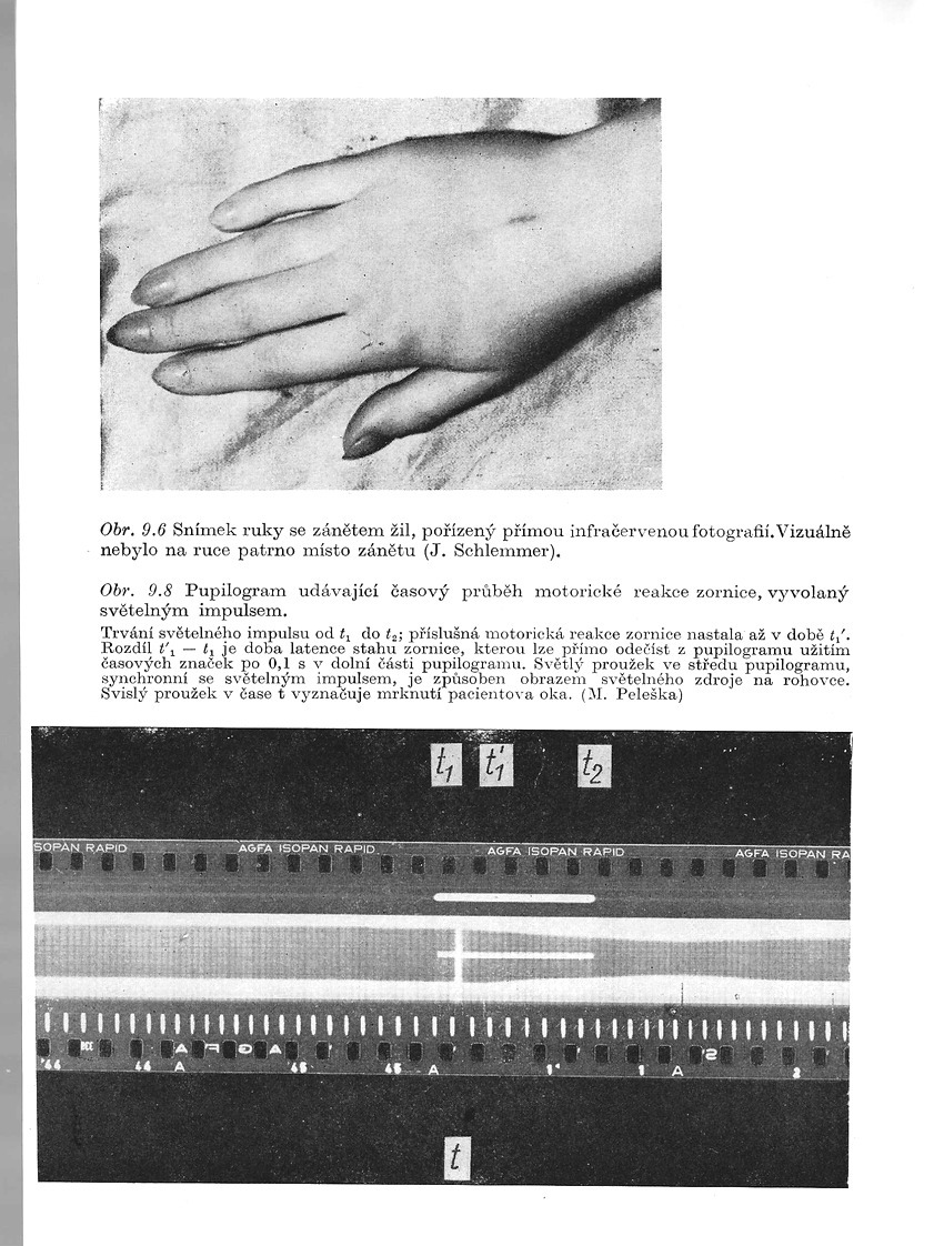 o012.jpg