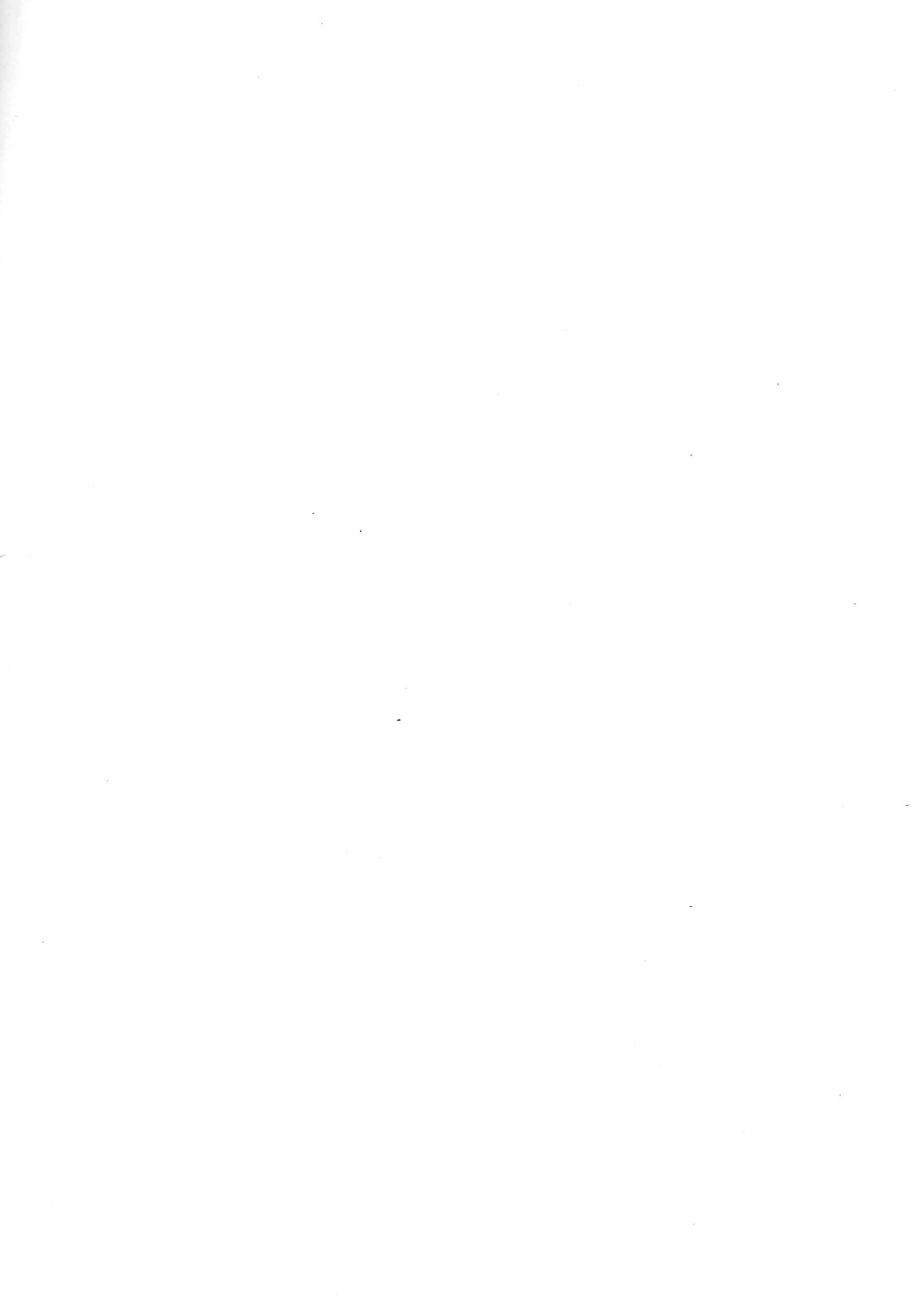 010.jpg
