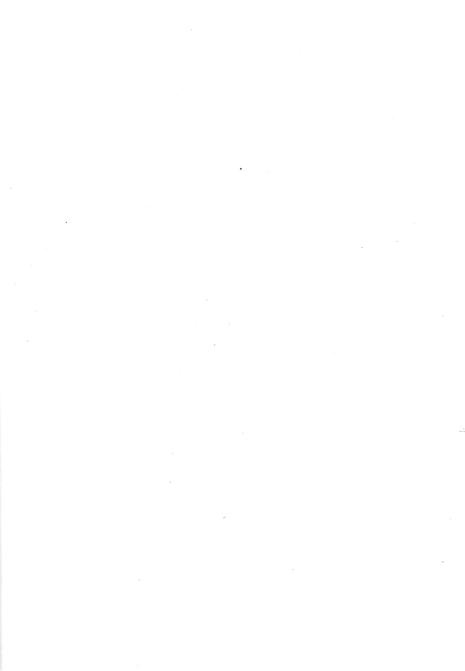 294.jpg