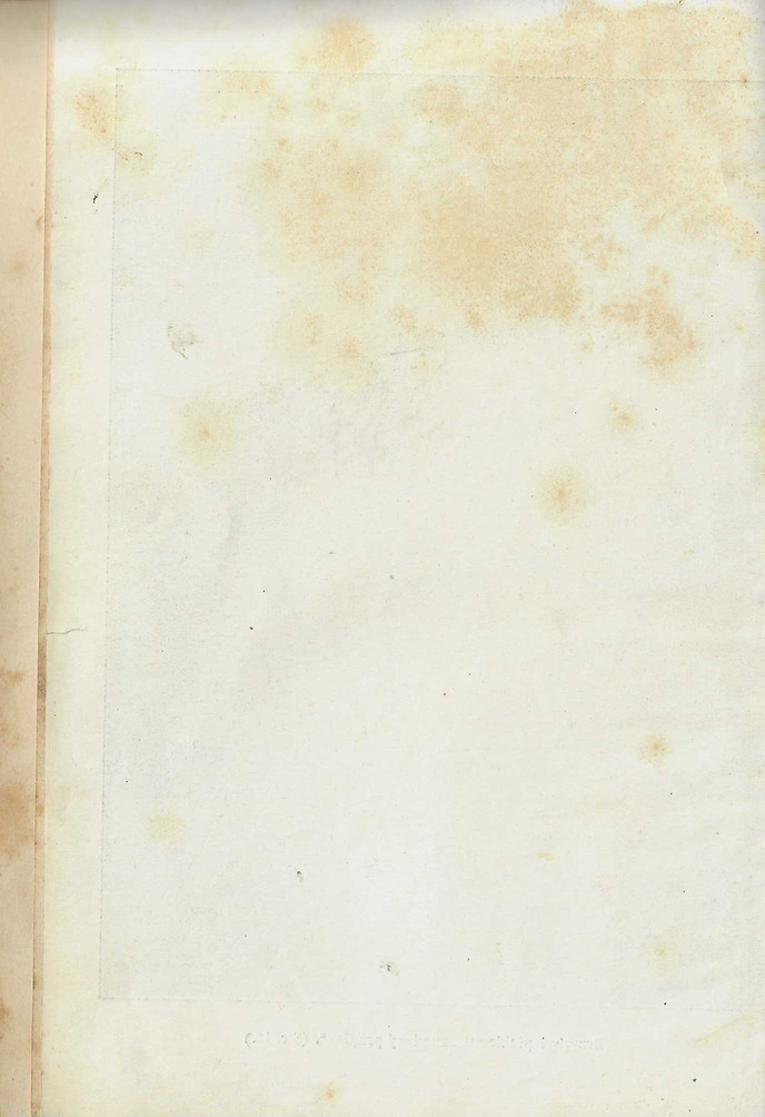 A016.jpg