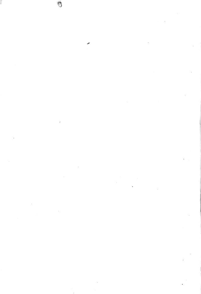 B032.jpg
