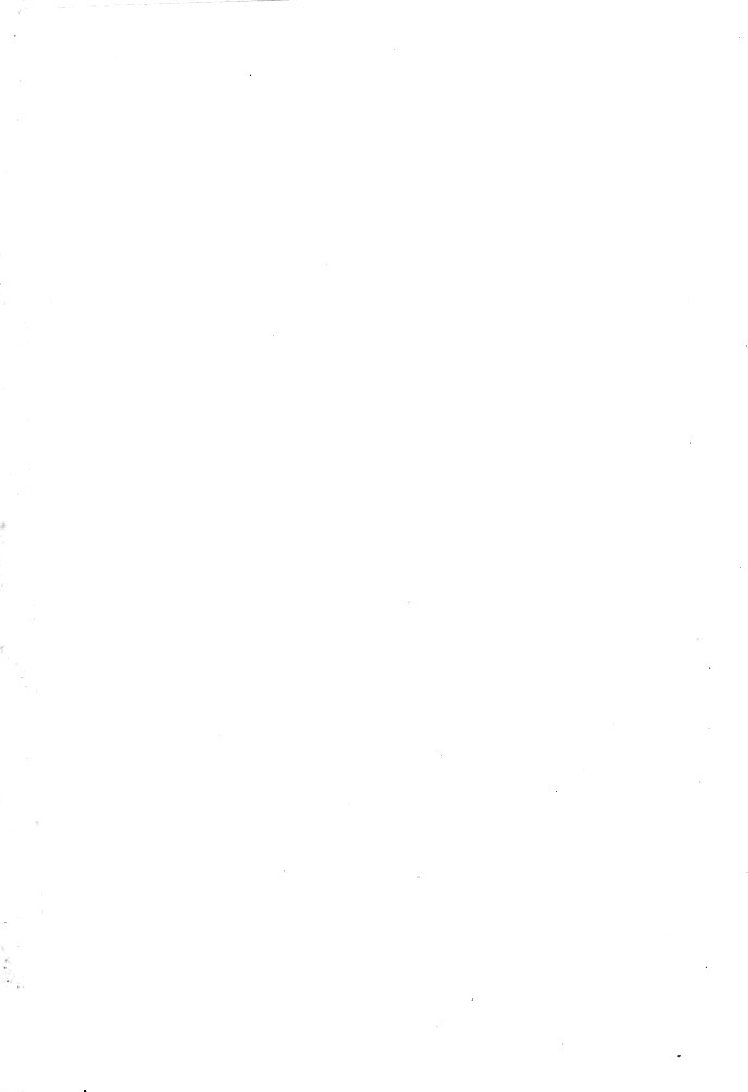 E096.jpg